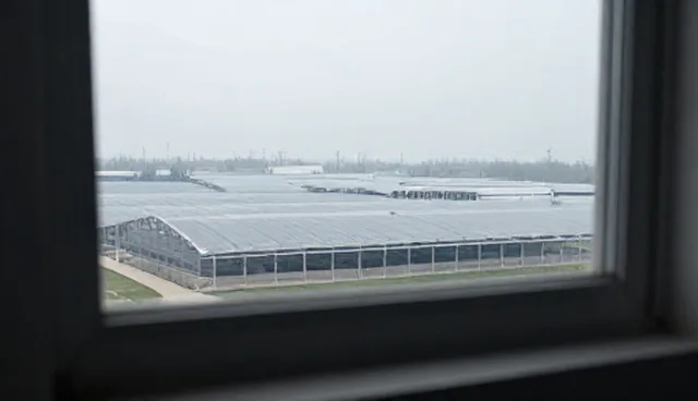 安装调试业务适用情况与限制分析